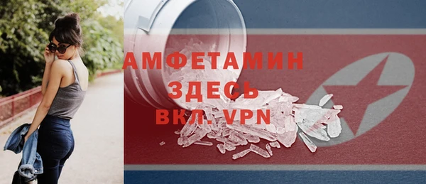твердый Арсеньев