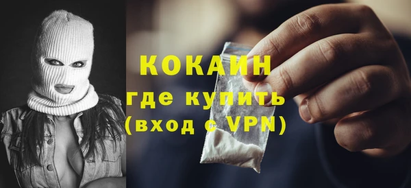 твердый Арсеньев