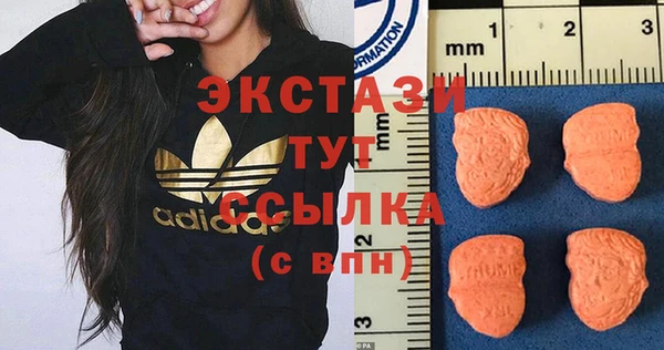 твердый Арсеньев