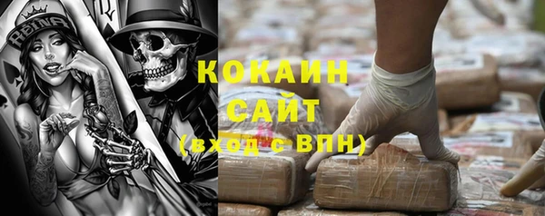 твердый Арсеньев