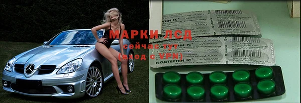 твердый Арсеньев